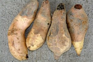 Vegetables that improve skin health for a healthy glow