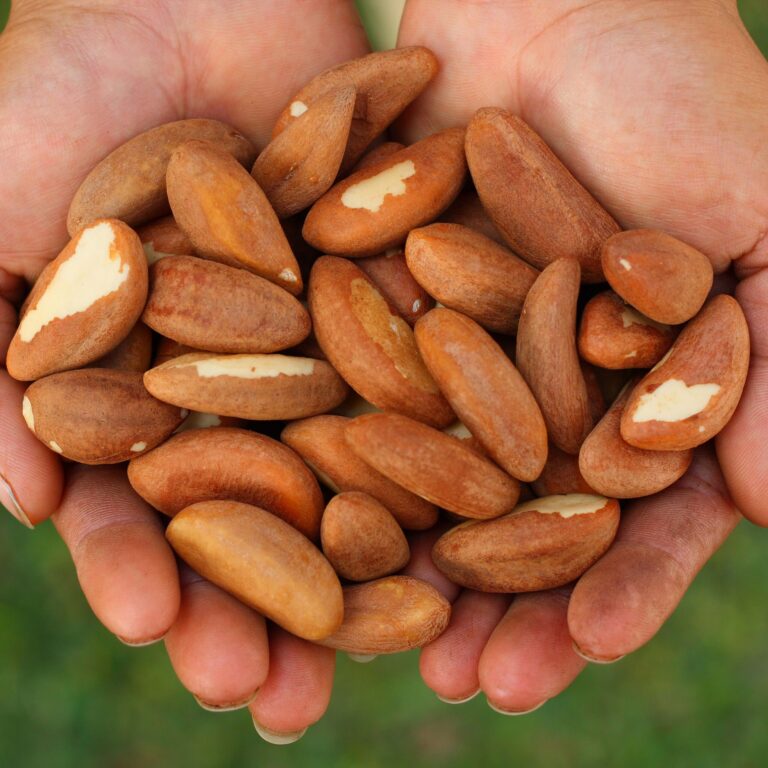 Healthy and nutritious Nuts for Your Body