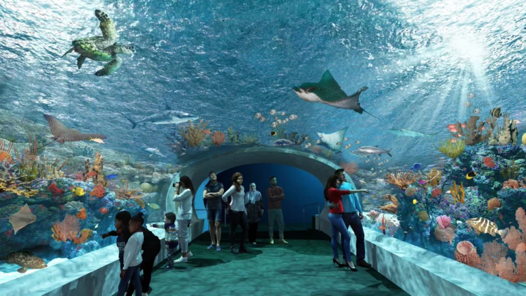 Aquariums that are among the most stunning in the world
