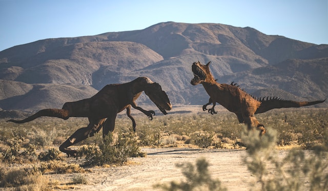 A fossil dating back 265 million years is the oldest and largest South American predator before dinosaurs