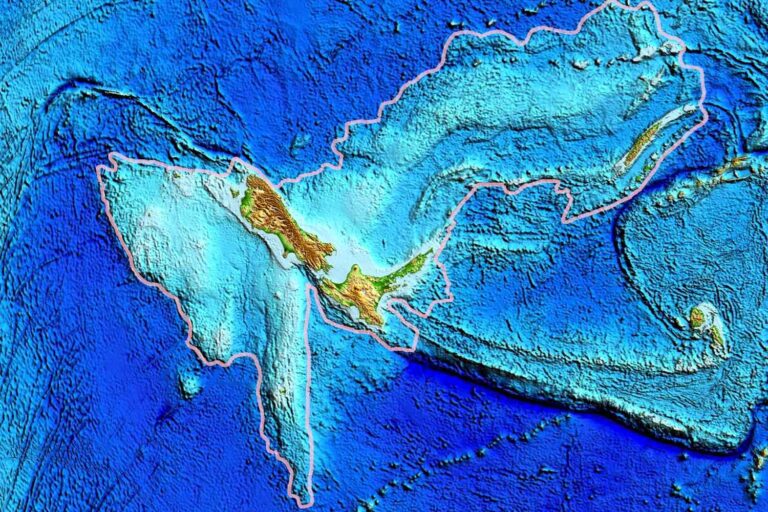 Geological discovery! Zealandia, the Earth's eighth "continent," discovered after 375 years