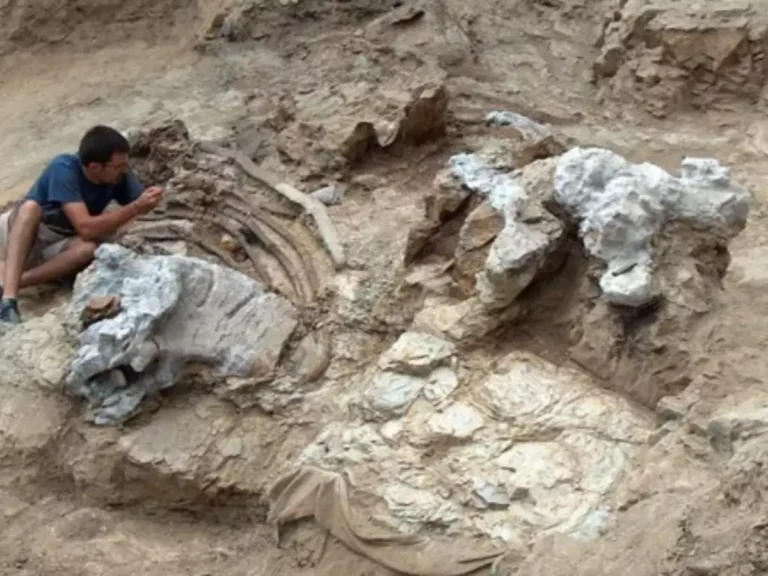 'Titan' dinosaur with a massive long neck found in Spain
