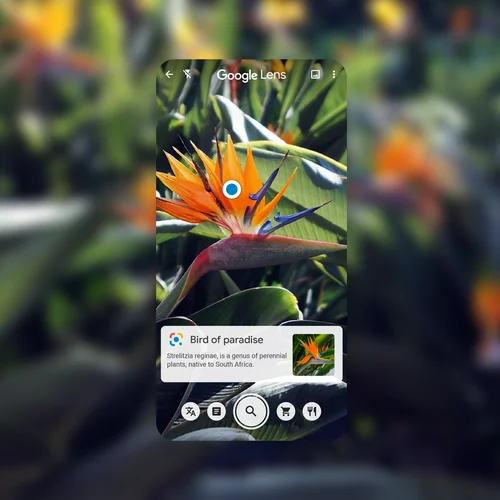 Google lens